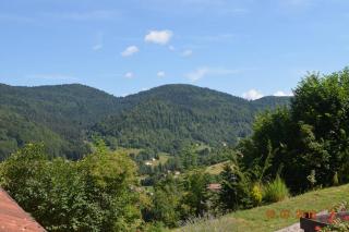 Gite BUSSANG - Bussang - 6
