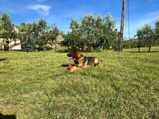 Landhaus am Berg - 1