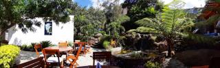 Finca Catalina Hotel Boutique - Tepoztlán - 2