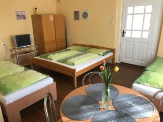 Apartman u Karla - Veľký Meder - 9