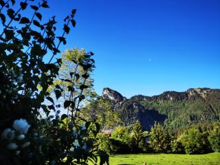 Gästehaus Neu am Passionstheater - Oberammergau - 2