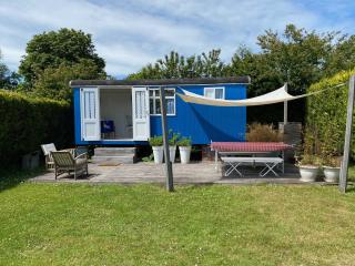 Little blue house (on the campsite) - Oostvoorne - 0