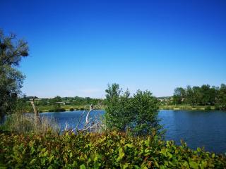 Gîte à la campagne - Etat Nature - 2