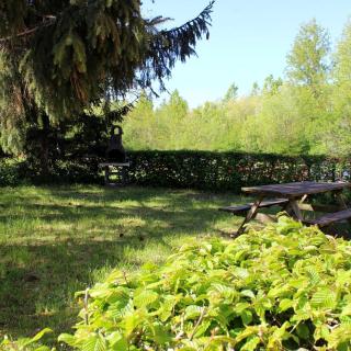 Gîte à la campagne - Etat Nature - Magnières - 1