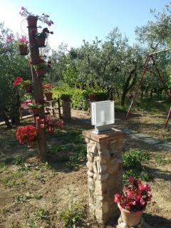 Casa le Betulle - Montespertoli - 4