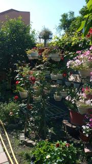 Guest House Zhanna - 6