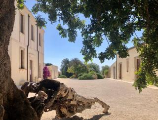 Pantanelli Di Vendicari - Casa Maccari - 6