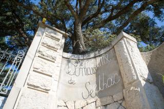 Domaine de Selhac - Frontignan - 4