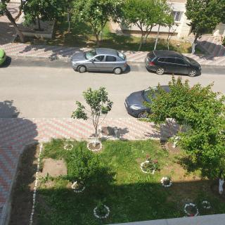 Rozelor - Mangalia - 6