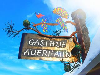Gasthof Auerhahn - Lech am Arlberg - 3