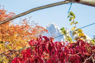 Hotel Kabis - Funes - 4