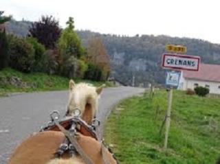 La Bergerie Crenantine - Crenans - 1