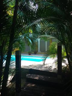 Chambre d'hôte et Loft dans maison de charme piscine à débordement La Villa Gialla - Schœlcher - 0