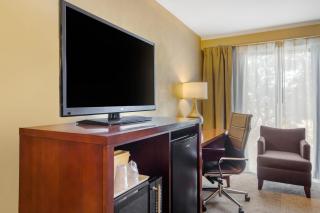 Holiday Inn Express Denver Central - North - Denver - 4