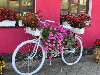 Готель-ресторан Каміла - 0