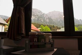 Apartament Mountain Life - Buşteni - 0