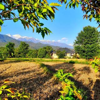 Seclude Palampur - Pālampur - 2
