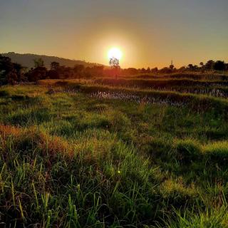 Seclude Palampur - Pālampur - 3
