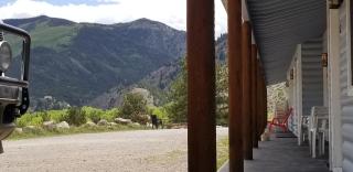 Alpine Moose Lodge - Lake City - 5