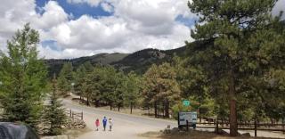 Alpine Moose Lodge - Lake City - 4