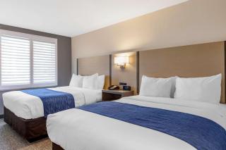 Comfort Inn San Diego Miramar - Miramar - 5