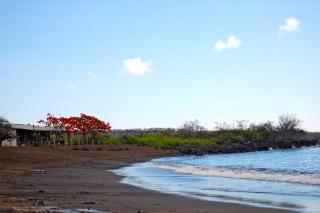 Black Beach House - Floreana - 6
