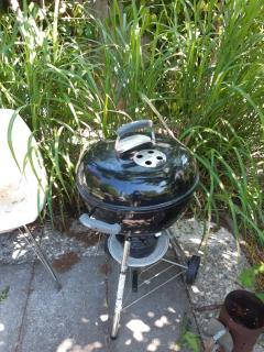 Kitty's Place Warmond - 5