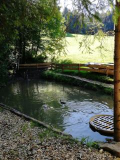 Ferienhaus am Waldrand von Egg Bregenzer Wald - Egg - 4