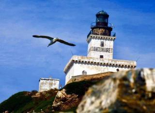 Suite Les Couchants - Porticcio - 3