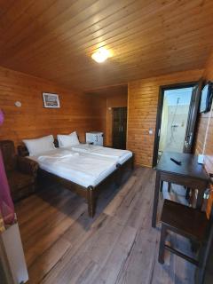 Daiana Residence Cabane - Turda - 6