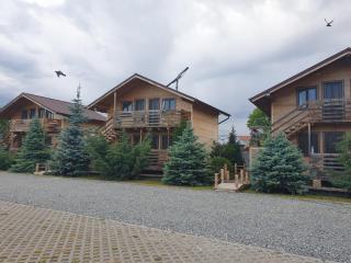 Daiana Residence Cabane - Turda - 9