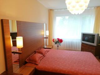 Amber apartamentai - Druskininkai - 9