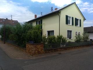 Kakteengarten - 1