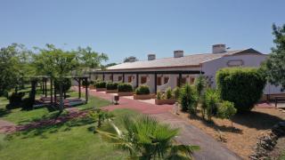 Quinta dos Poetas Nature Hotel & Apartments - Olhão - 6