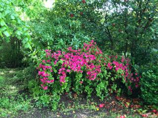 Residence le Petit Paradis - 2