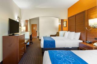 Comfort Suites Stevensville - St Joseph - Stevensville - 5