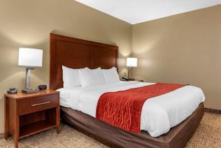 Comfort Inn & Suites Cincinnati Eastgate - Eastgate - 3