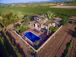 Vinyes Can Grau - Sencelles - 1