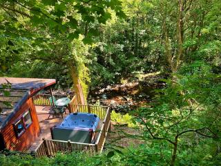 Riverside Hideaway - Barbrook - 9