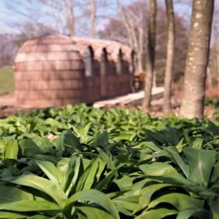 Les Cocons d'Ardenne - Hébergement insolite - Vaux-sur-Sûre - 5