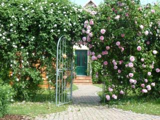Ferien auf Rügen Familie Geist - Garz-Rügen - 9