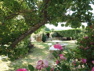 Hotel Restaurant Les Glycines - Vieille-Brioude - 3
