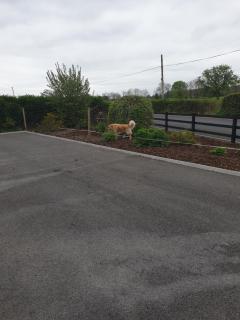 Nellies Log Cabin - Cavan - 8