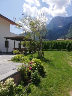 Gisshübelhof - Andrian - 8