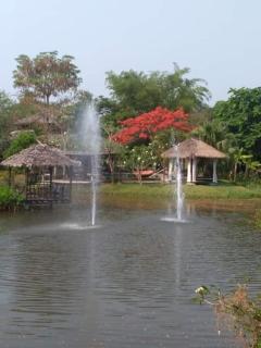 Baan Chai Thung Resort - Doi Saket - 4