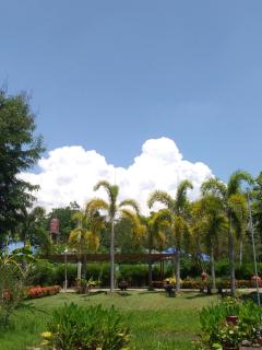 Baan Chai Thung Resort - Doi Saket - 1