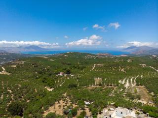 Trialonia Luxury Villa - 1