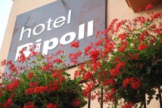 Hotel Ripoll - 8