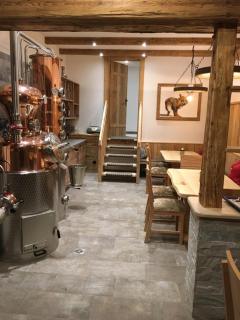 Bauernhof Hinterfirst - Söll - 2