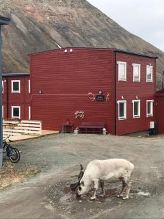 Haugen Pensjonat Svalbard - Longyearbyen - 6